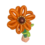 an orange balloon flower on with no background